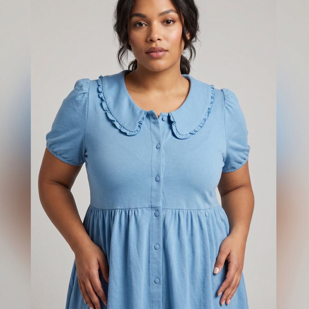 Smash + Tess Women's Blue Peter Pan Collar Ruffle Button Dress Cottagecore L